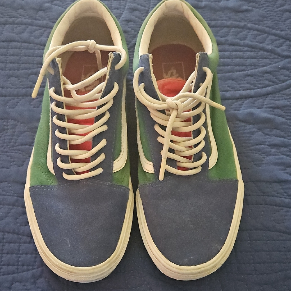Vans Stylish Blue and Green Men's Sneakers